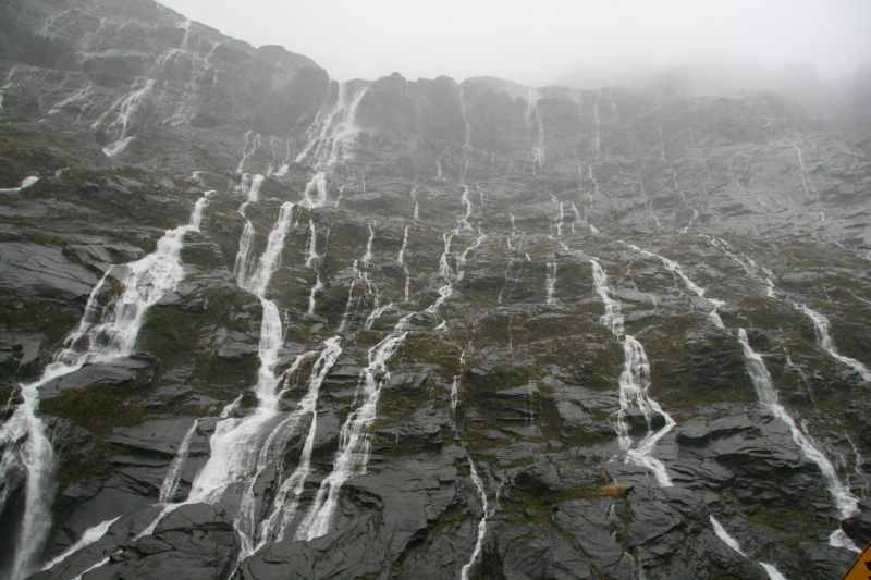 Nieuw-Zeeland 2011 - 1682